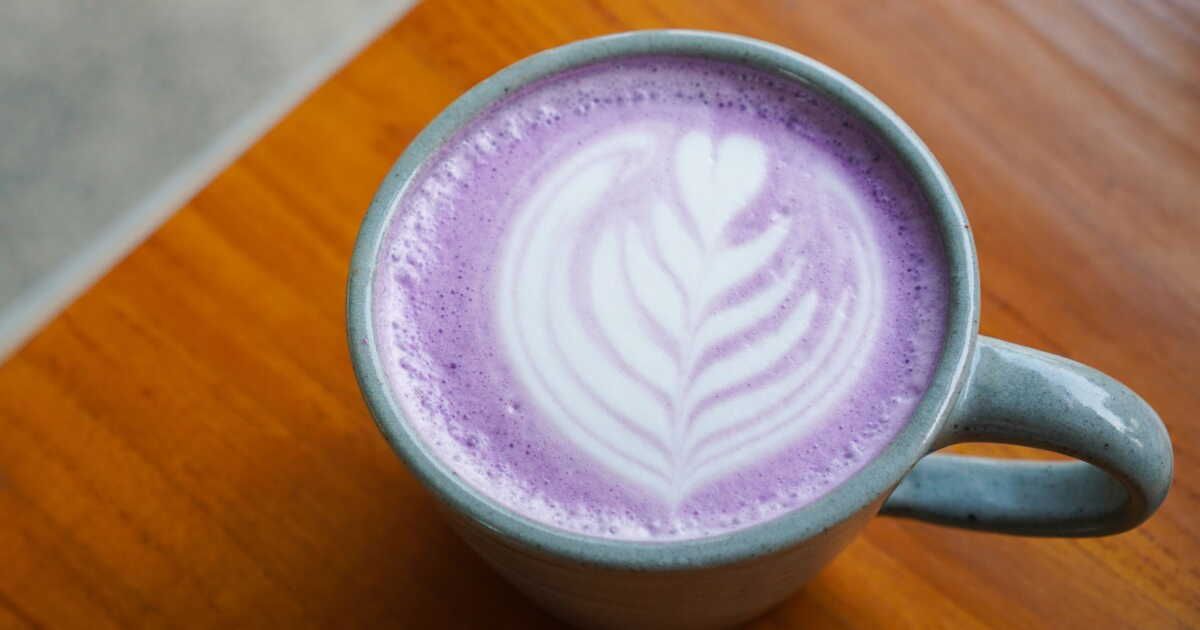 Le phénomène ube latte : une douceur venue des Philippines