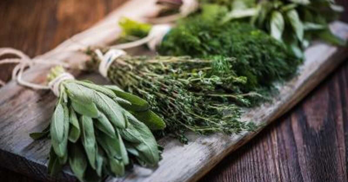 le secret pour sécher vos herbes fraîches au micro-ondes
