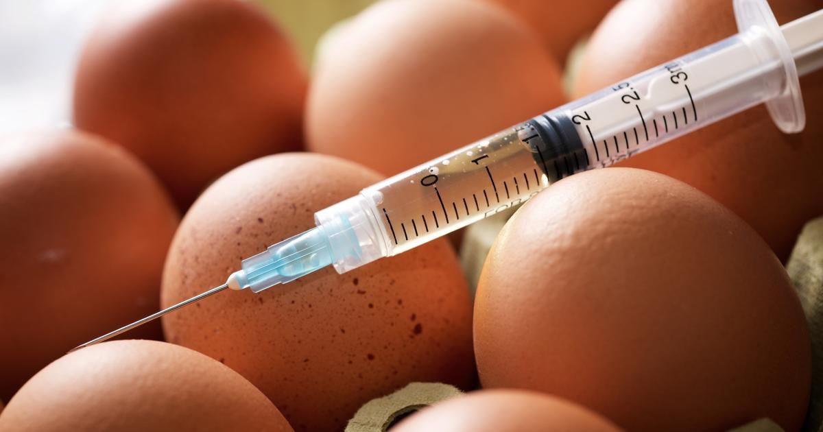 Quand la chimie embellit nos aliments : décryptage du maquillage industriel