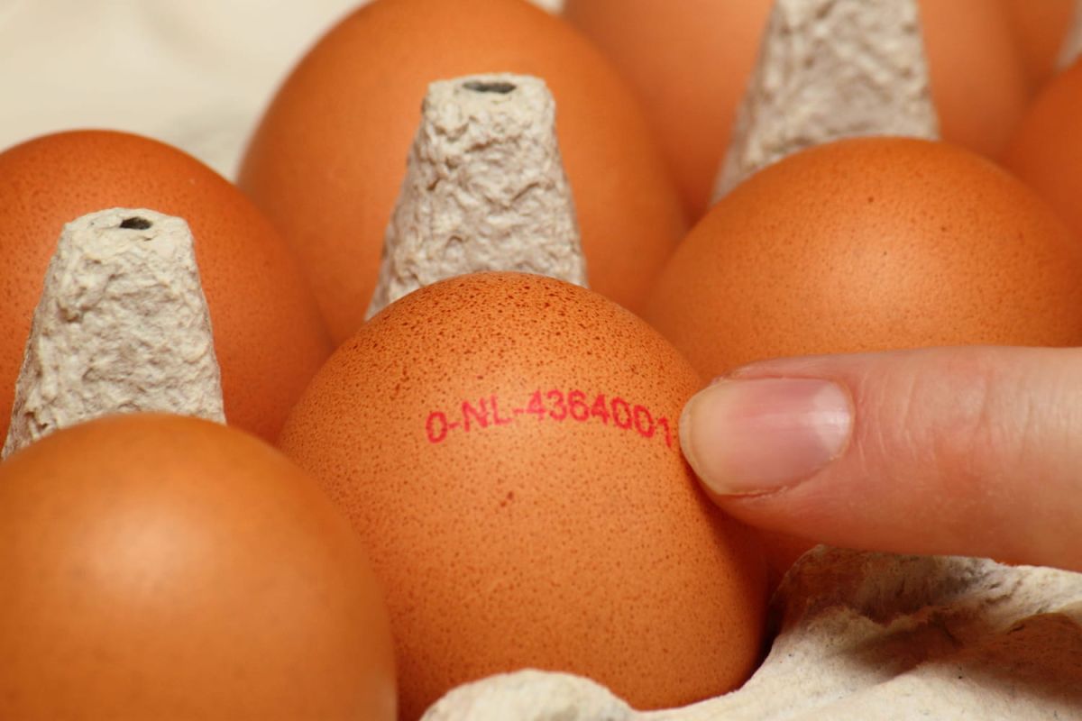 Pourquoi le numéro sur votre œuf peut changer votre perception des courses