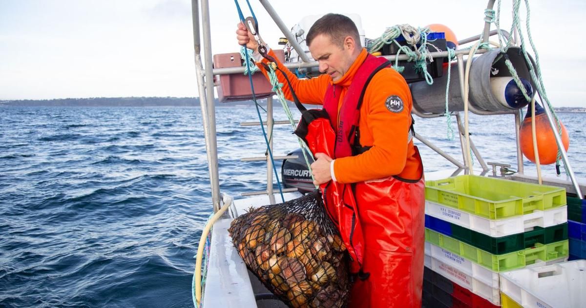 À la découverte des trésors marins de Bretagne