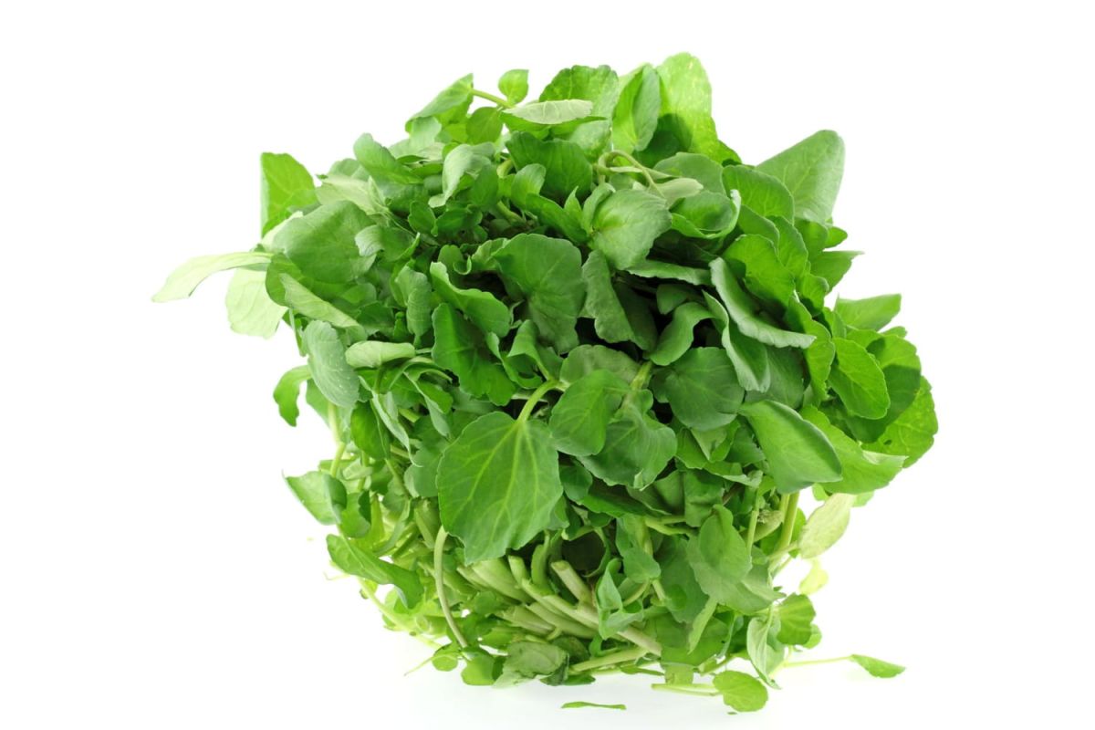 Comment revitaliser une salade flétrie ?