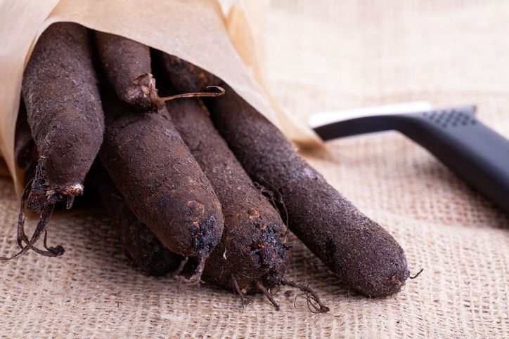 Le salsifis, un légume à redécouvrir