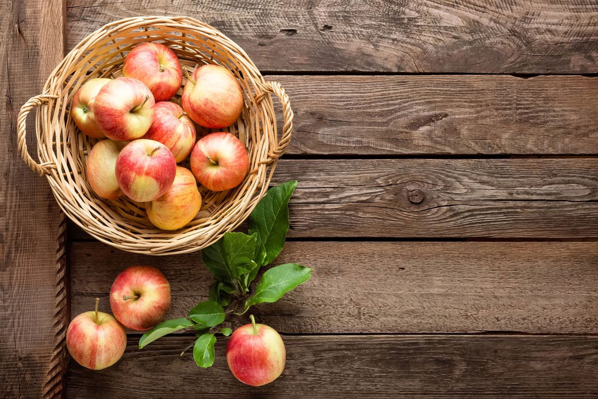 La pomme, votre alliée santé par excellence