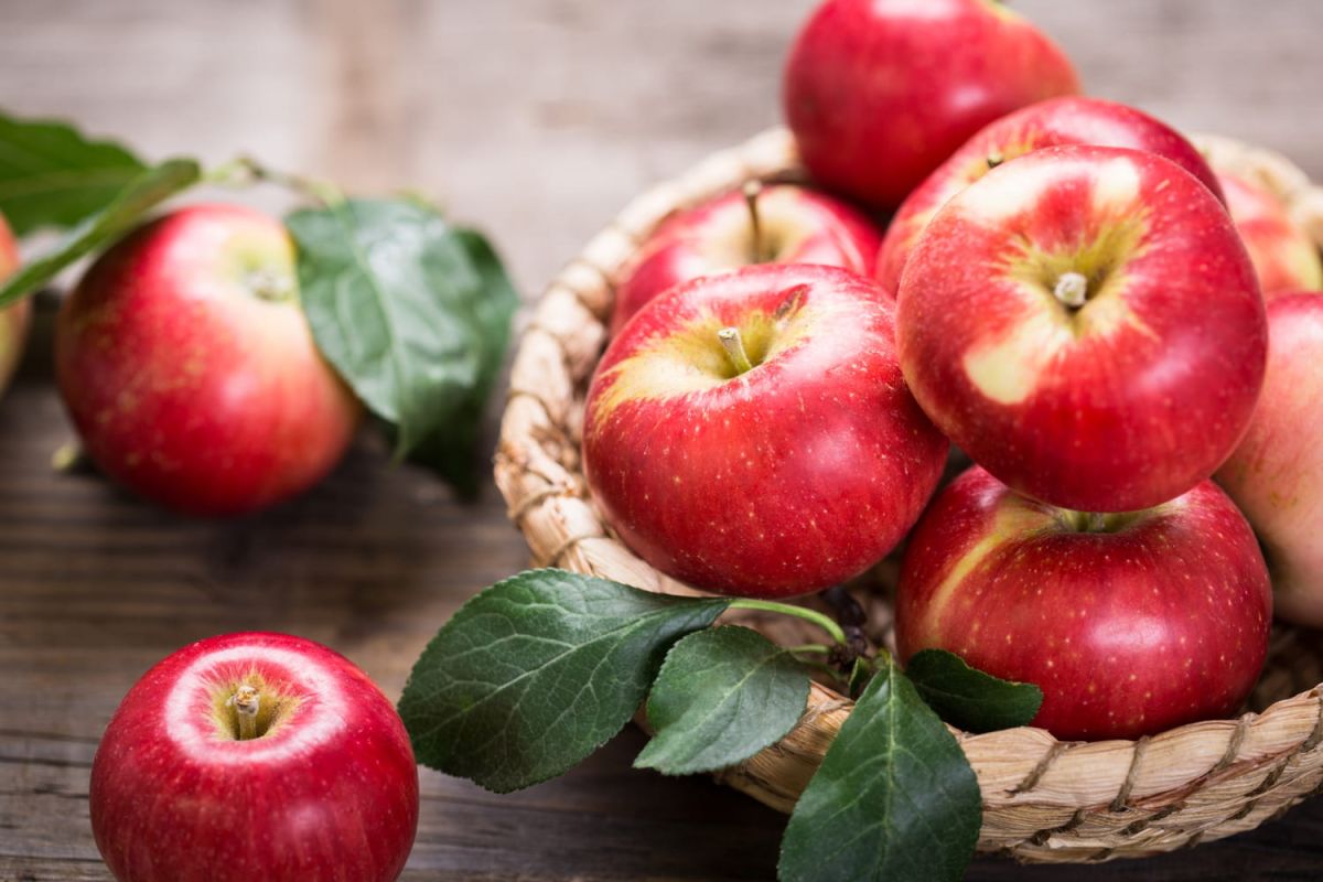 Comment vos grand-mères conservaient les pommes plus longtemps