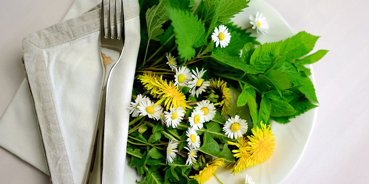 redécouvrez les mauvaises herbes comestibles pour éveiller vos papilles