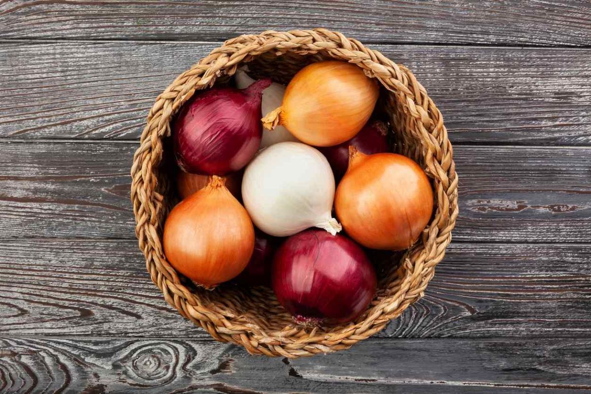 Cinq conseils pour garder vos oignons frais plus longtemps