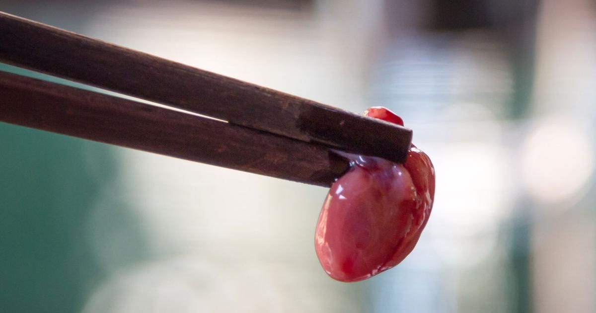 Déguster le cœur de cobra : entre tradition et étonnement culinaire