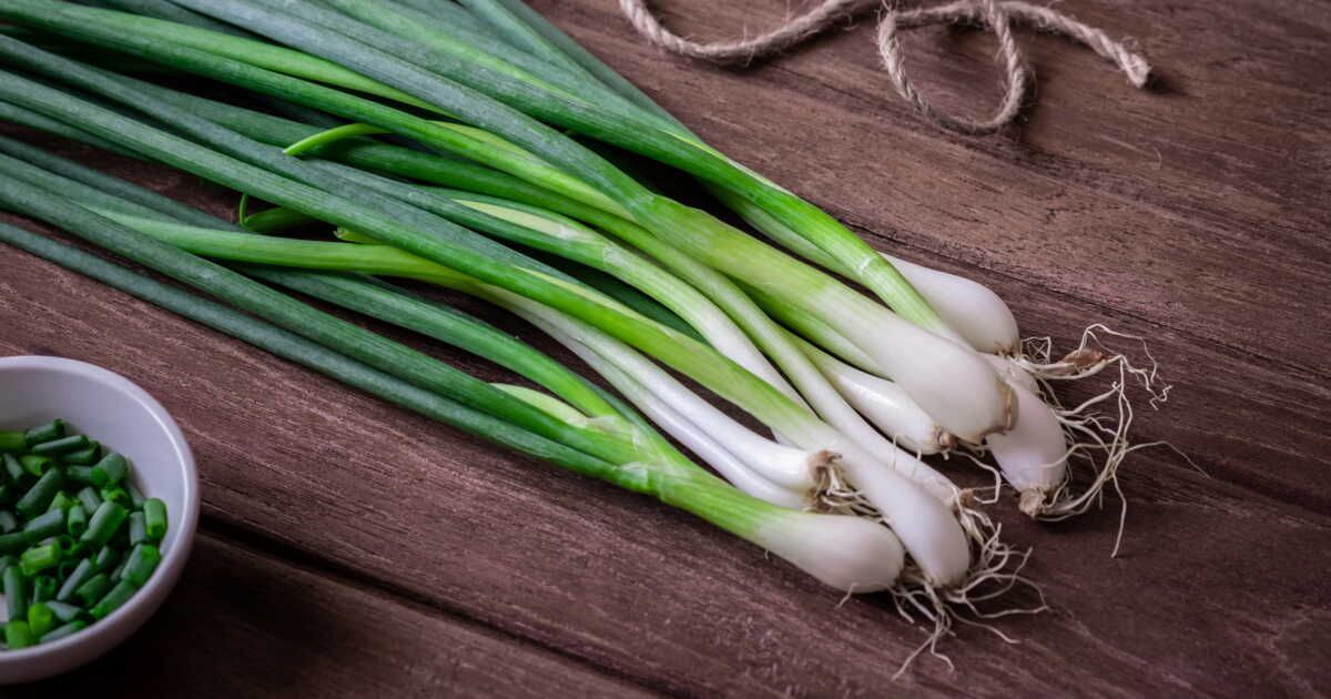 Comment cuisiner l'oignon vert : nos conseils et bonnes recettes