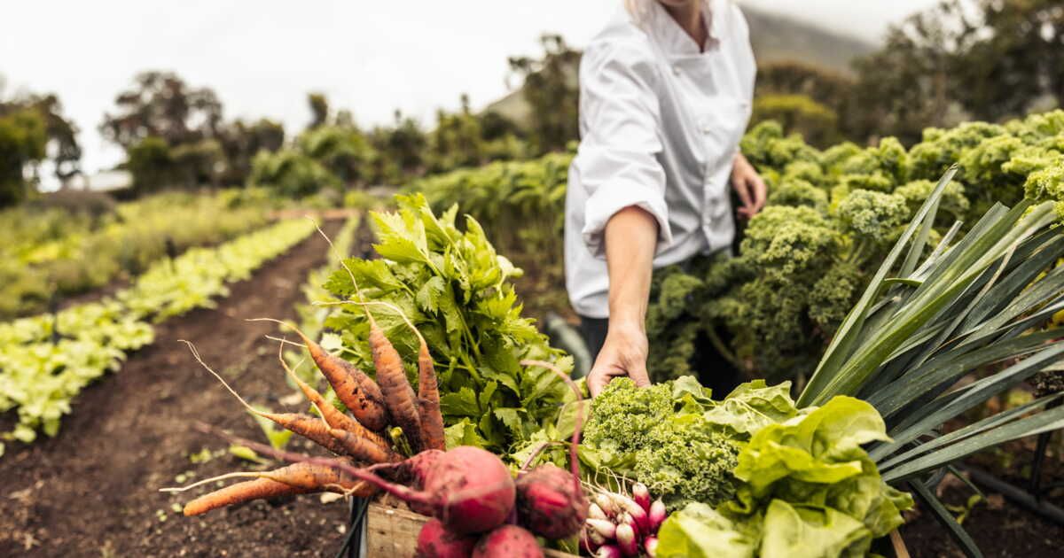 3 stratégies pour réduire le gaspillage alimentaire en cuisine