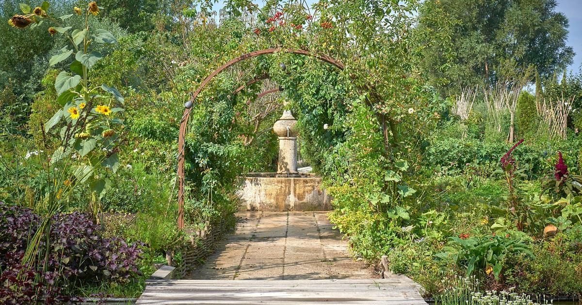 La chassagnette : un chef étoilé au cœur d'un potager camarguais
