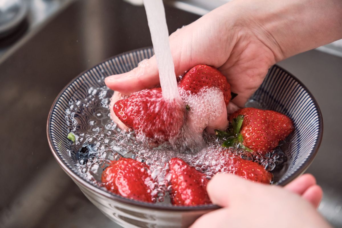 découvrir comment profiter des fraises tout en réduisant les pesticides