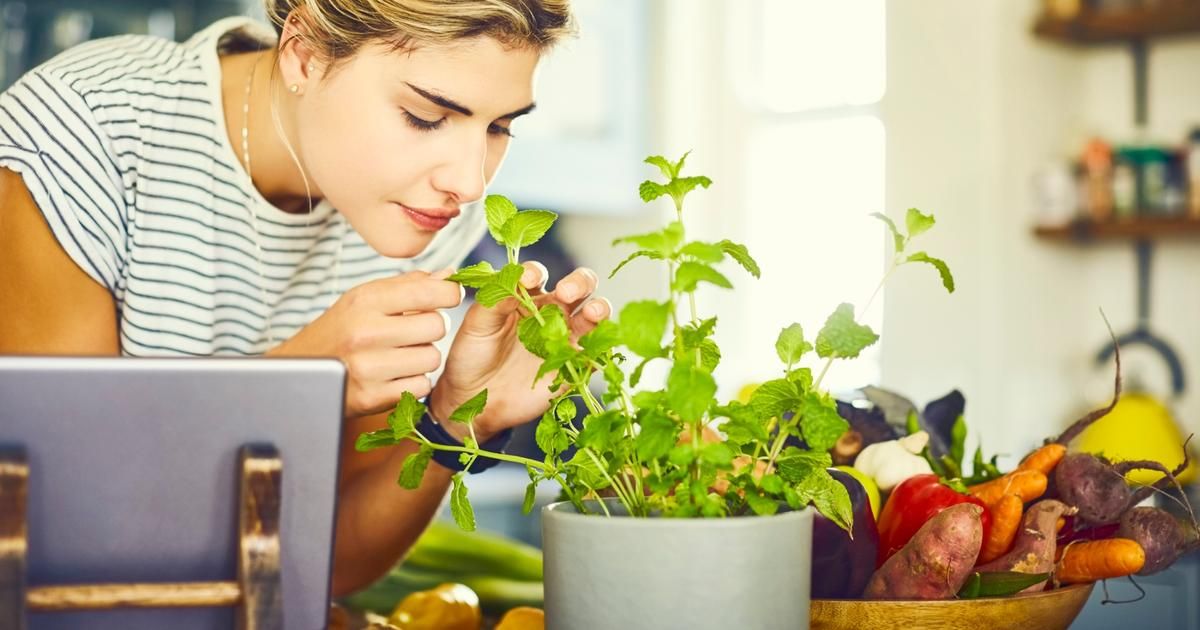 Les secrets pour réussir son mini-potager à la maison