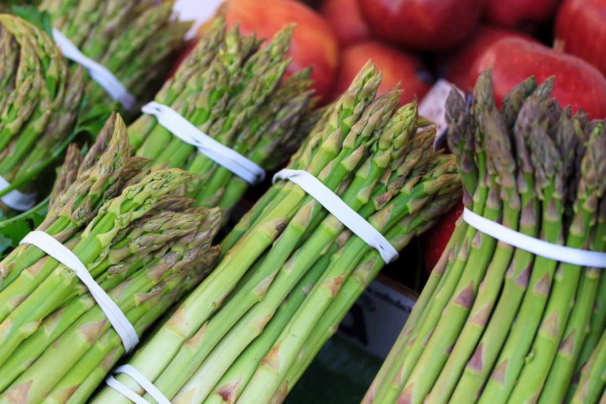 Le bon conseil d'un producteur pour acheter des asperges à prix doux