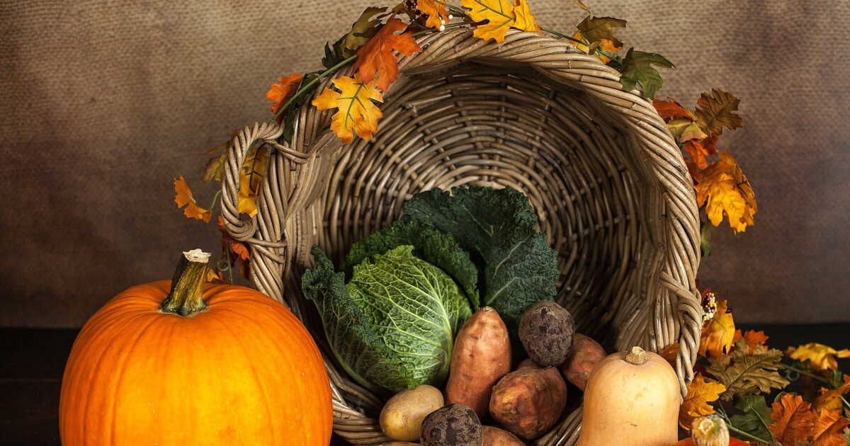 Les secrets des associations réussies de légumes en cuisine